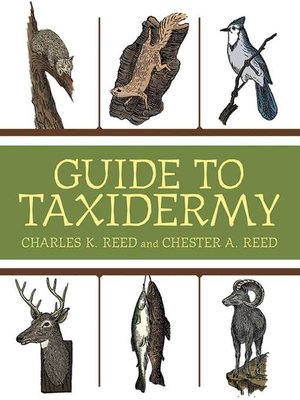 cover image of Guide to Taxidermy